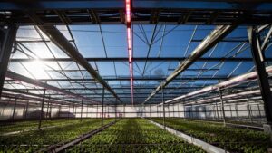 Resource Innovation Institute and CEA Footprint Project Partners Issue Environmental Accounting and Reporting Guide