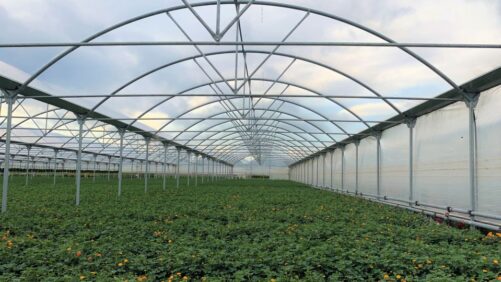 Presenting the Greenhouse Grower 2023 Technology of the Year Award Finalists