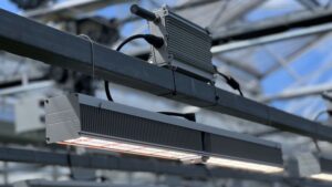 Wireless Flex Dimming From Fluence
