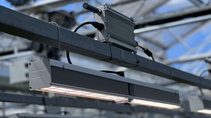 Wireless Flex Dimming From Fluence