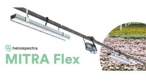 MITRA Flex Far-Red Light