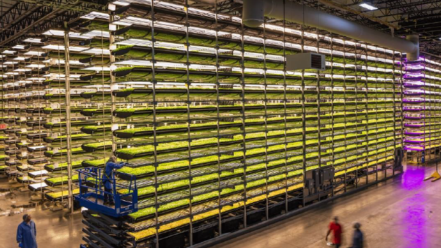Aerofarms Original Facility