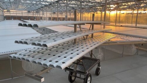 An Update on Protected Agriculture Technology For Vegetable Growing