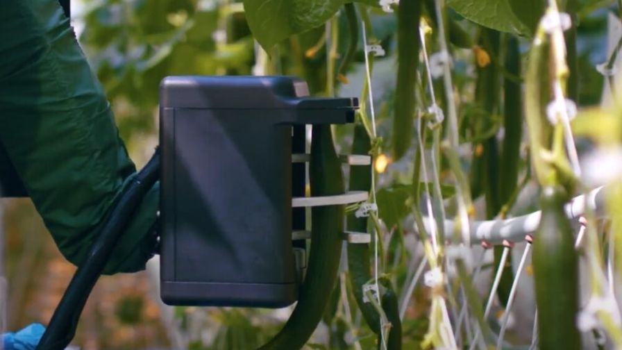 Four Growers Robotic Cucumber Harvester