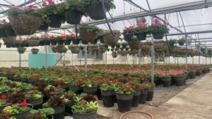 How Greenhouse Energy Monitoring Increases Profits
