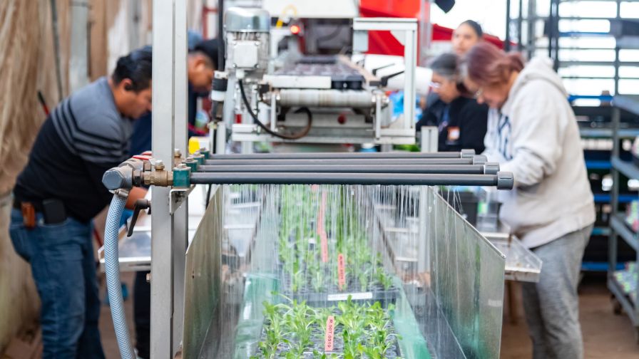Hortica Protecting Greenhouse Technology Web