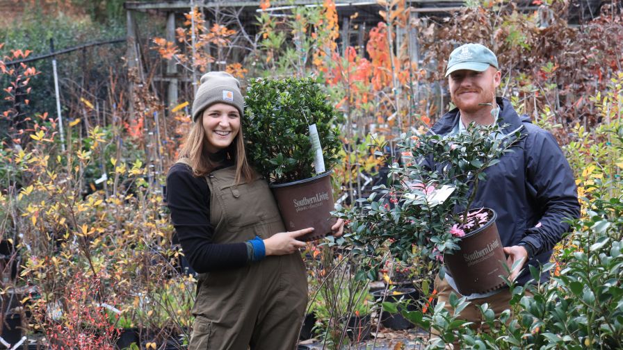 PDSI New Generation Marketing Photo Credit Birmingham Botanic Gardens Plant Development Services marketing strategy