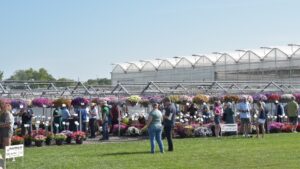 Favorite Plants From Plantpeddler’s 2023 Variety Day