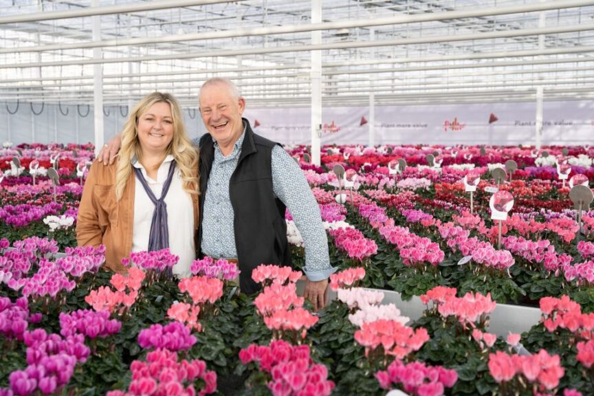 Sustainability Is the Cornerstone of Schoneveld Breeding