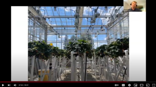 Video of the Week: A Showcase of Greenhouse Lighting Technology