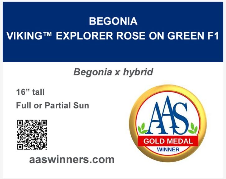AAS Winner Example