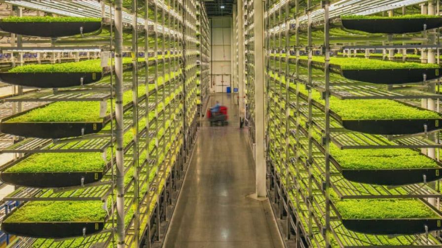 AeroFarms