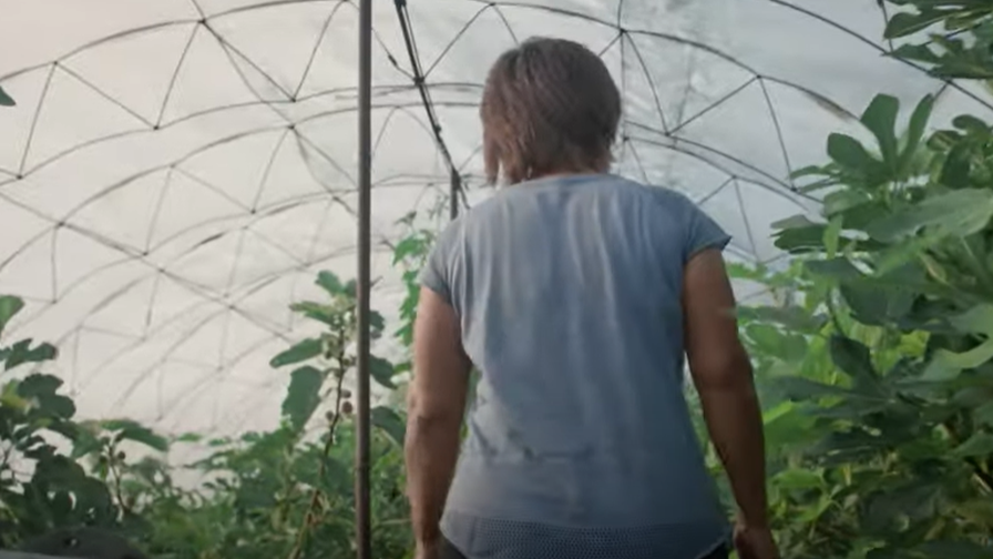 Farmerhood Greenhouse