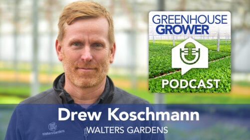 Greenhouse Grower to Grower Podcast: Drew Koschmann of Walters Gardens