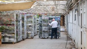 5 Overlooked Insurance Options to Protect Your Greenhouse