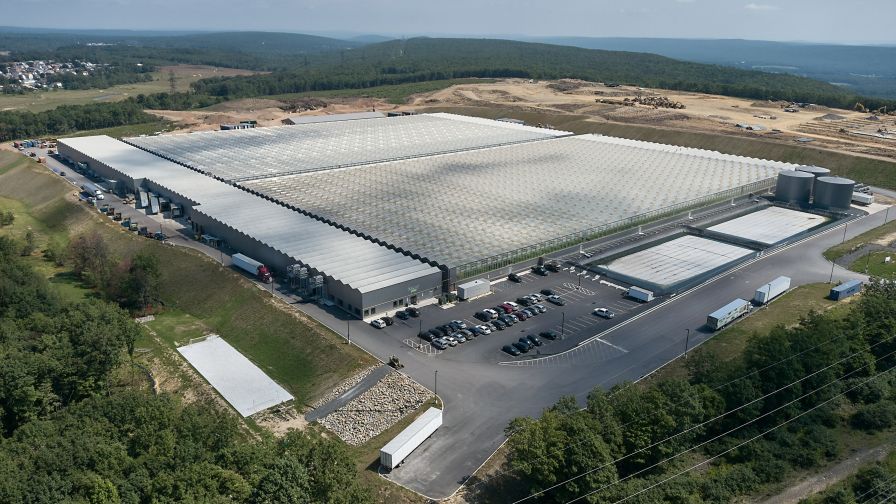 Little Leaf Farms greenhouses McAdoo PA packaged lettuce