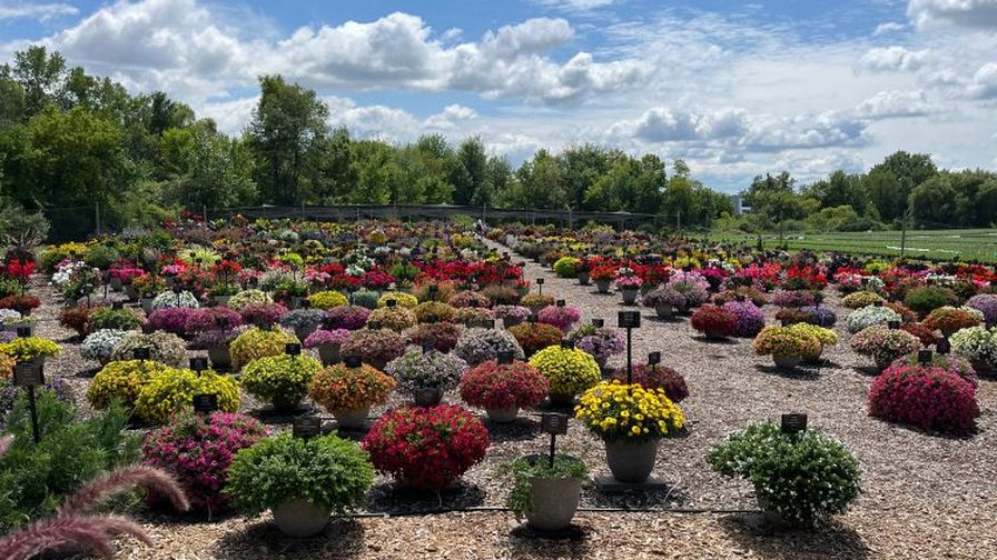 Michigan GardenTour 2023 Michigan State University Extension Favorites-feature