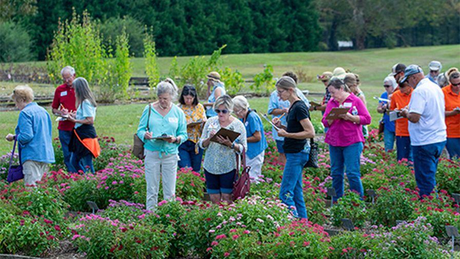 Mississippi State University Ornamental Field Day