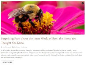 NGB Blog page