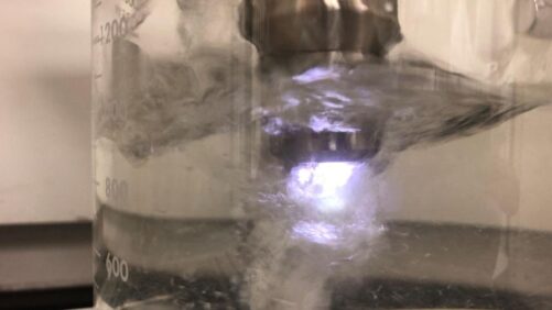 How Plasma-Activated Water Might Play a Role in Seedling Protection