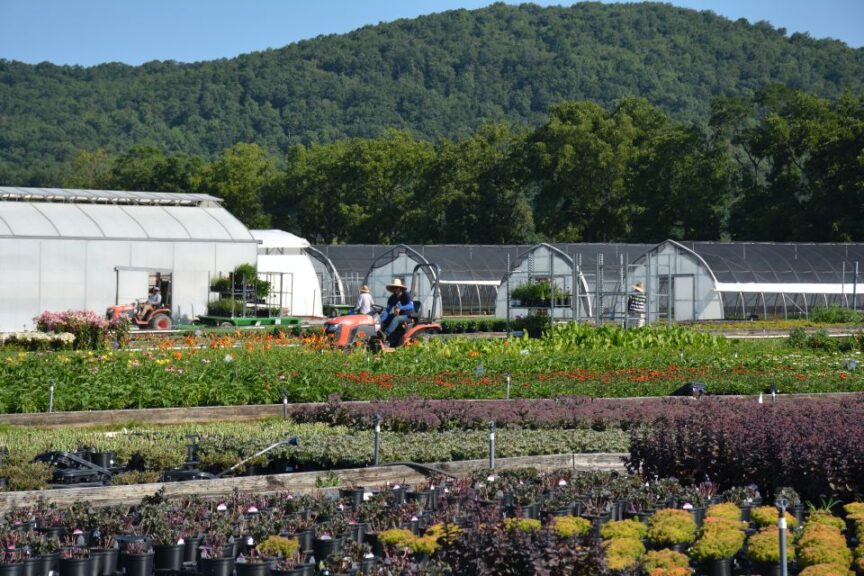 Take a Virtual Tour of Quality Greenhouses and Perennial Farm