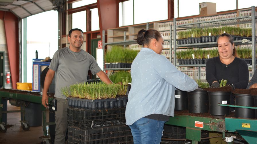 Quality Greenhouses H-2A Workers