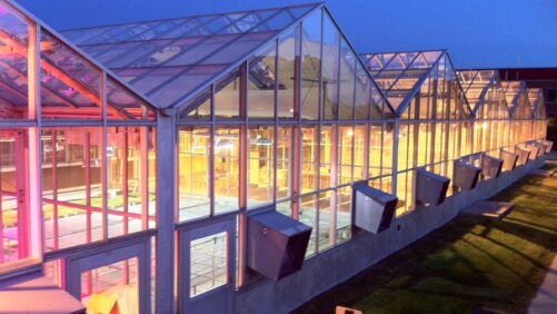 5 Tips for Efficient Greenhouse Heating