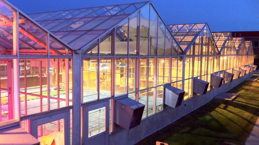 Rob Eddy RII Ridge and Furrow Greenhouse greenhouse heating