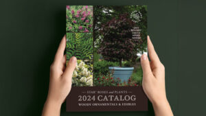Star Roses Releases 2024 Woody Ornamentals & Edibles Catalog