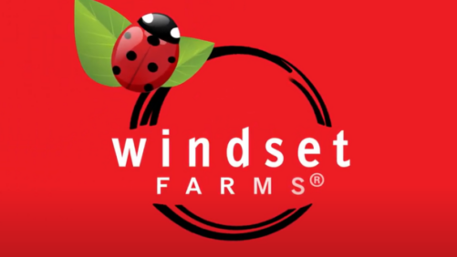 How Windset Farms’ Rebranding Puts the Focus Back on the Produce