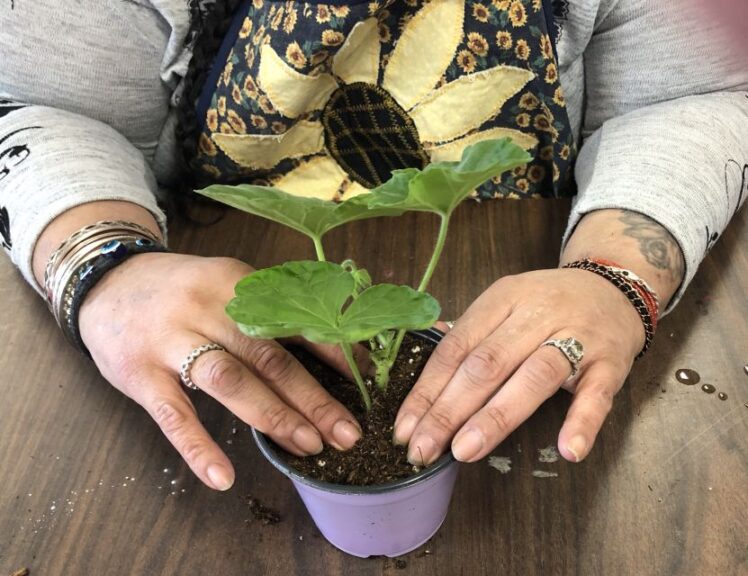 Care Plus Horticultural Therapy, Paramus, NJ 