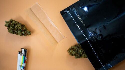 Optimizing Packaging for Cannabis Cultivators