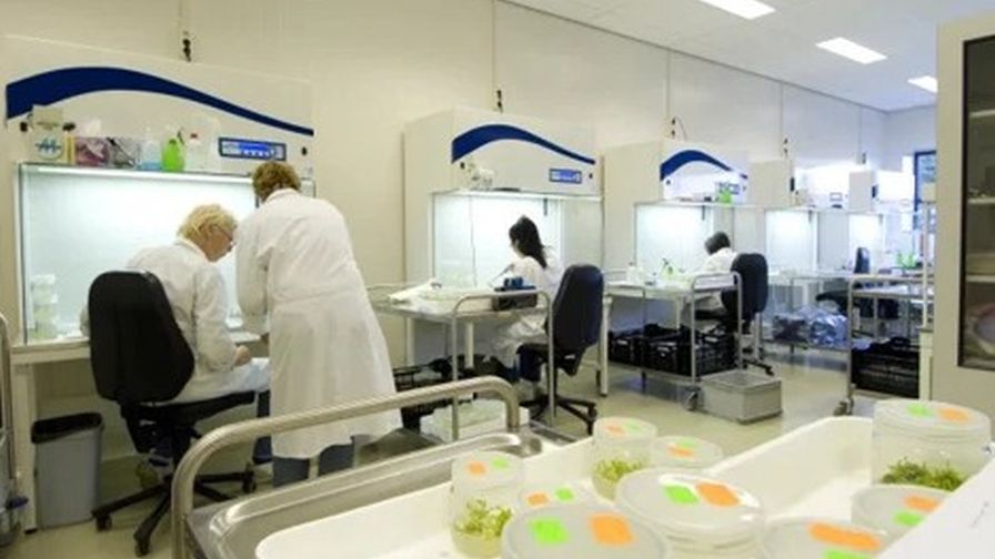 Cubic Grow Tissue Culture Lab