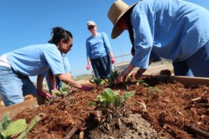Insight Garden Program, San Gabriel, CA