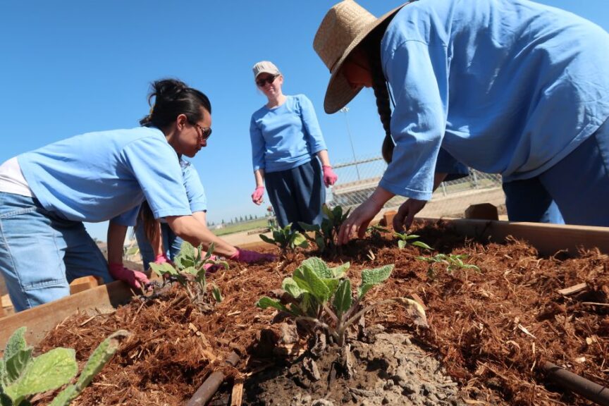 Insight Garden Program, San Gabriel, CA