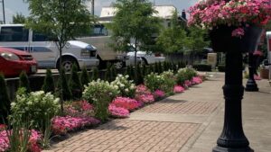 Enrollment Open for America in Bloom Community Beautification Programs