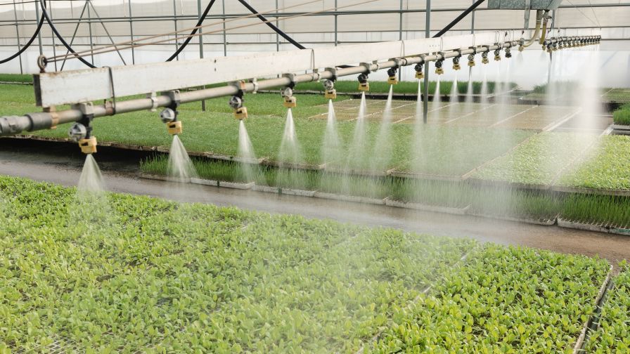 Moisture Management Root Zone
