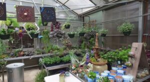 Skyland Trail Horticultural Therapy Program, Atlanta, GA 