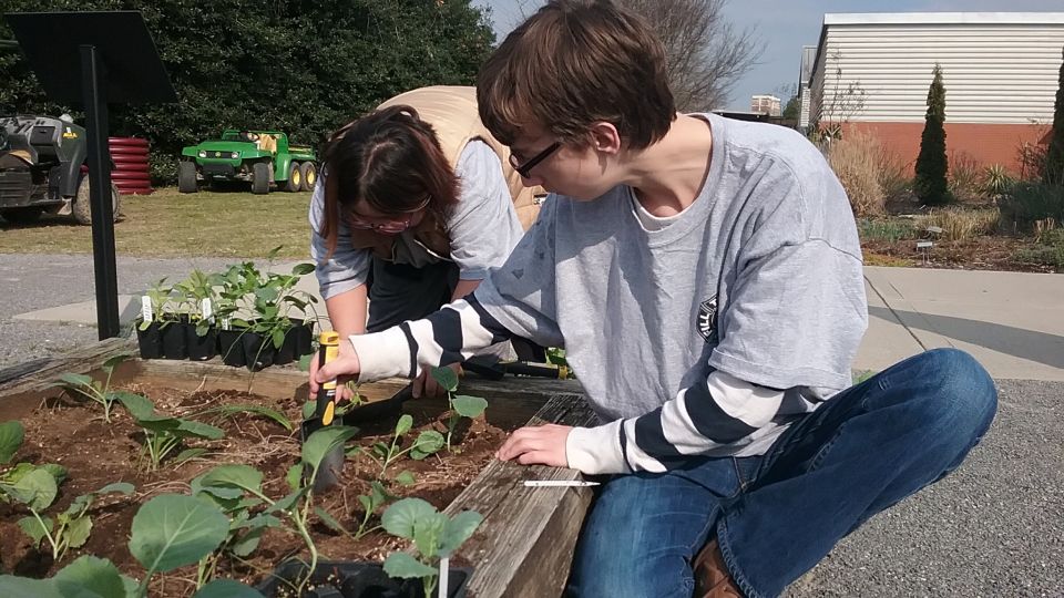 UT Gardens Horticultural Therapy, Knoxville, TN