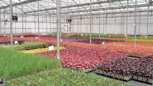 Meet Greenhouse Grower’s New Editorial Advisory Board