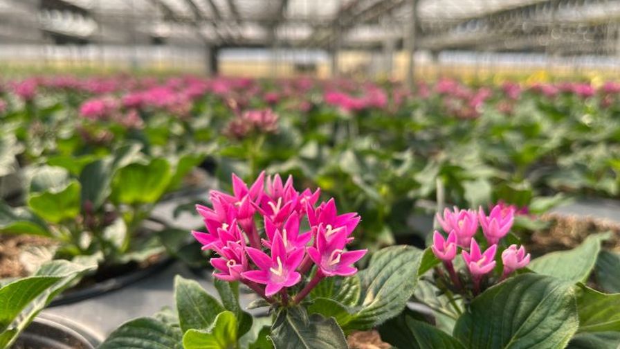 Michigan Greenhouse Growers Expo 2023