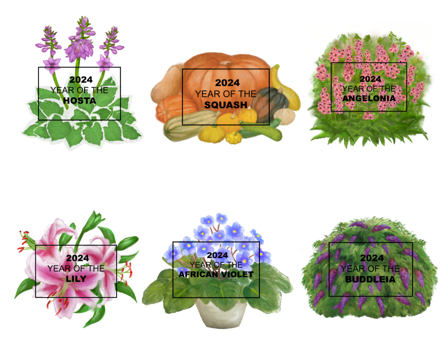 NGB 2024 Year of logos all