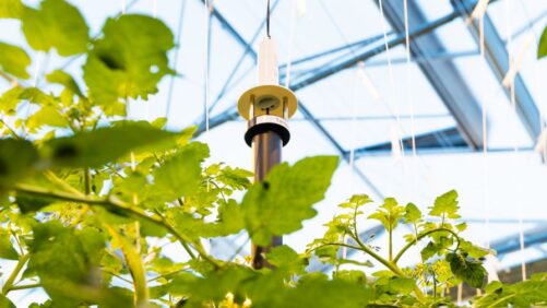 Priva Updates Sensor/Control Software Integration