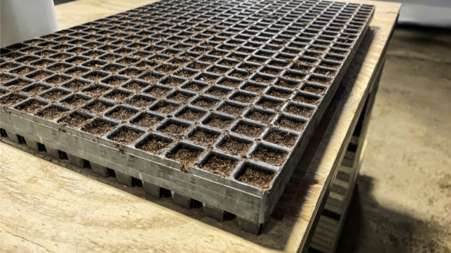 Propagation tray with HydraFiber Ultra SSF web