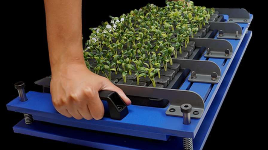TO Plastics POPagation Station Plug Popper
