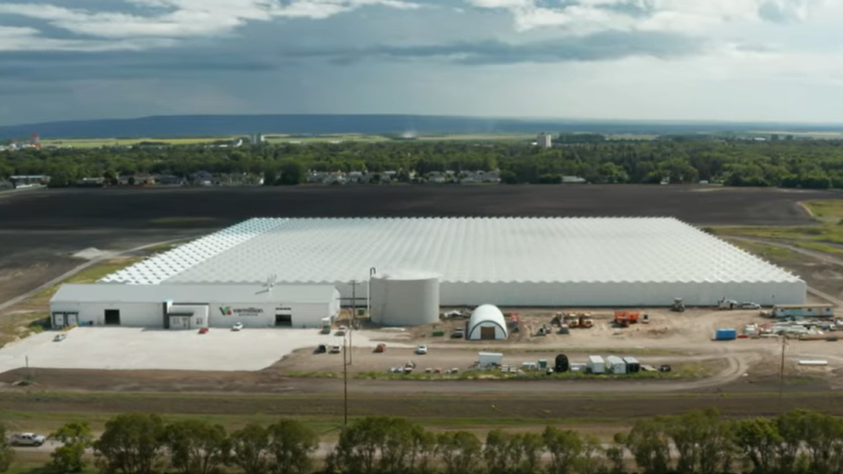 Vermilion Growers