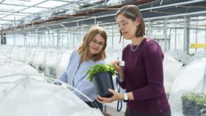 New Report From Vineland Highlights Horticulture Innovation in Action