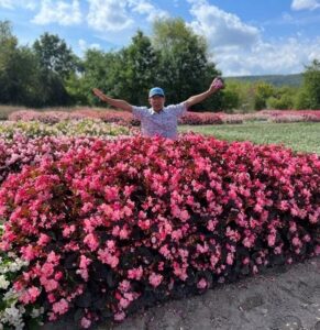 Annual (a tie resulted in two winners): Begonia ‘Stonehedge Rose Bronze Leaf’
