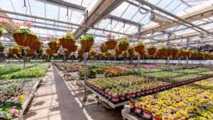 Risk Priorities for Greenhouse Growers in 2026