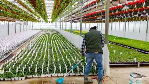 Learning Opportunity: Building Better Workplace Safety in Horticulture